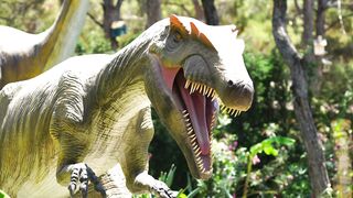 A Model Of A Tyrannosaurus