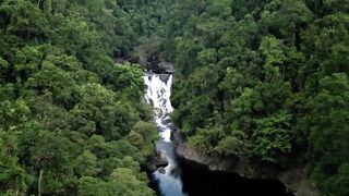 The most beautiful video Highlights of Nature