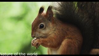 Wildlife in the animal world 2022 NEWS