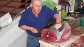 Luxurious sashimi! Giant Bluefin Tuna Butchering Show - Taiwanese Cuisine