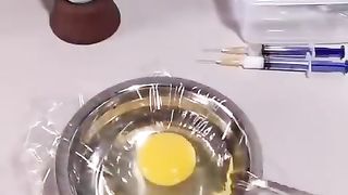 How A Chick Born From A Egg