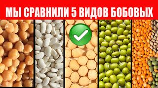 Выживание. Часть 2. Бобовые культуры. Закупка Продуктов И Запас Продуктов