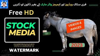 Download Stock Media Videos  Images for FREE ll Stock Media ll EasyTips99pk