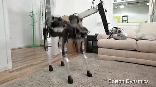 7 AMAZING ROBOT ANIMALS THAT YOU SHOULD SEE 2022 | Best Robotes 2022 | Coolest Robots 2022 | #tech