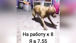 Когда на работу 7.55