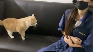 Cutest Cat funny clip