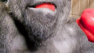 Watch this silverbacks jaw muscles