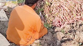 Carrot Harvesting ???? Village Life ????