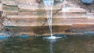 Air Terjun // Kolam Ikan MTsN-1 Kota Palangka Raya // 2023