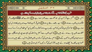 Surah Yaseen translations in Urdu