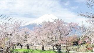 Spring time river view and mountain