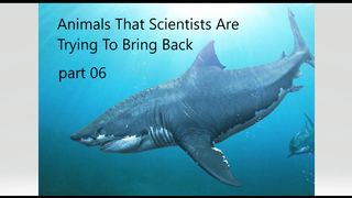 Animals That Scientists Are trying To Bring Back ????☠️????