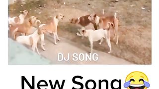 DJ Song