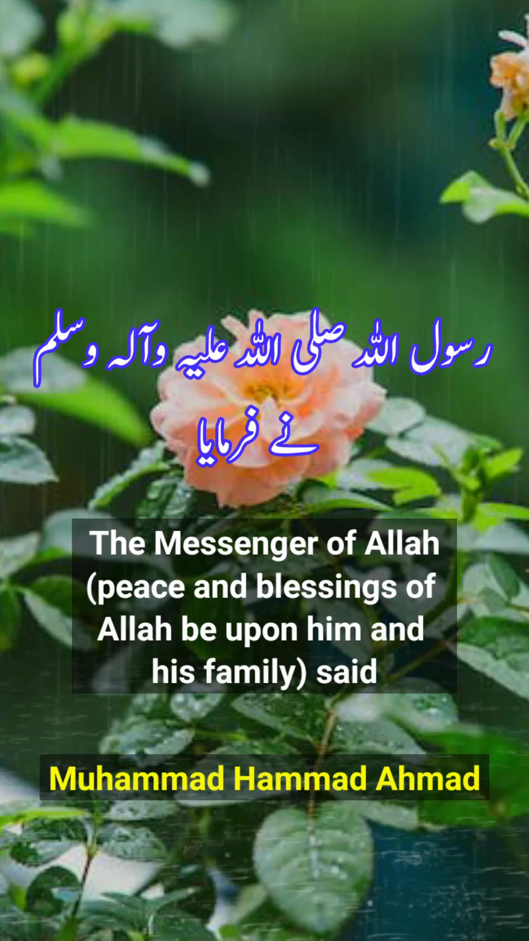 Look For Me Hazrat Muhammad Saw Quotes In Urdu