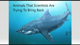 Animals That Scientists Are trying To Bring Back ????☠️????