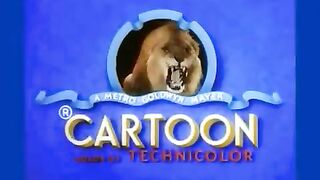 Tom and Jerry cartoon funny moments