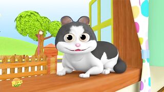 Meow Meow Billi - Hindi Nursery Rhymes - Hindi Song For Kids - म्याऊँ म्याऊँ - Hindi Balgeet Songs.