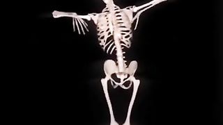 Skeleton dance funny