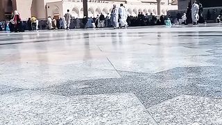 ماشاءاللہ مسجد نبوی کی رونقیں 4