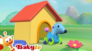 Crystal Ball | BabyTV