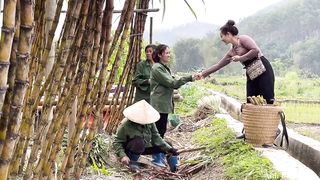 Harvest sugar cane and beans to sell at the highland market