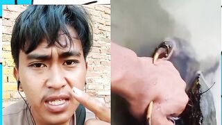 Tutorial cara melepas kepiting