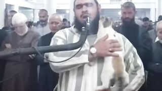 Un chat s'invite au beau milieu d'une prière dans une mosquée en Algérie