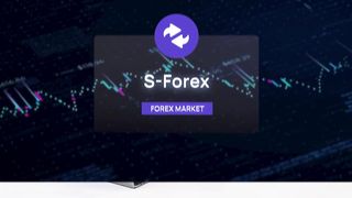 S-Media. Инвестиционное направление S-Forex. Статистика и условия инвестиций