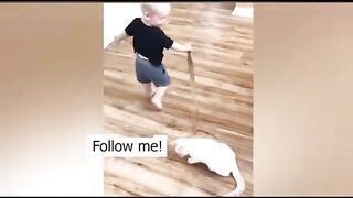 Cutest Babies and Cats are Best friends - B-Funny PART 1