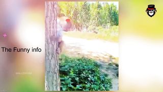 পশুদের মজার কর্মকান্ড ক্যামেরায় ধরা পড়া - Funny Animals Video 2022 (Part-2) -